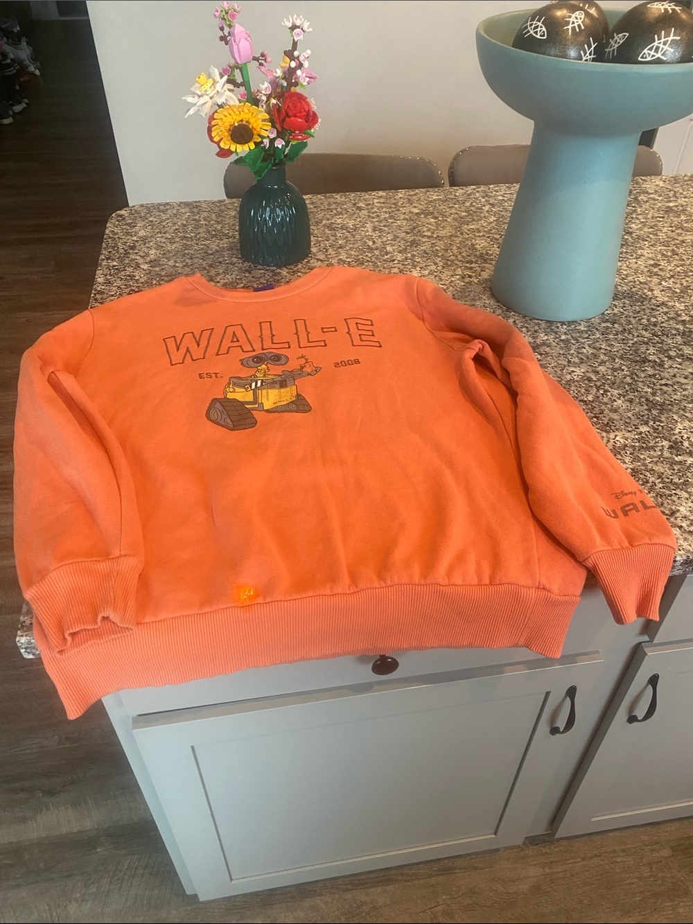 DISNEY PIXAR WALL·E Graphic Sweatshirt